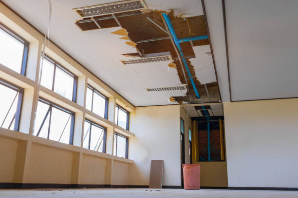 Best Sewage cleanup and water damage restoration  in Brightwaters, NY
