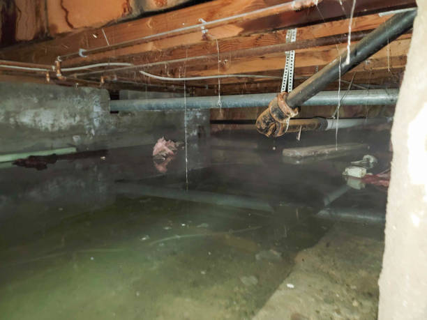 Best Water damage restoration process  in Brightwaters, NY