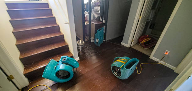 Best Residential water damage restoration  in Brightwaters, NY