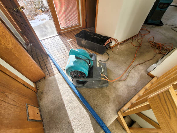 Best Carpet water damage restoration  in Brightwaters, NY
