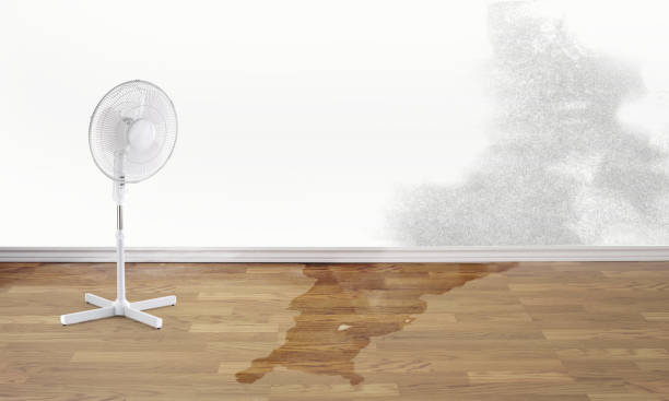 Best Local water damage restoration  in Brightwaters, NY