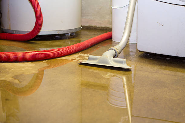 Best 24/7 water damage repair  in Brightwaters, NY