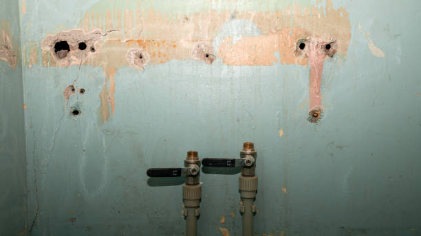 Best Water damage restoration mold remediation  in Brightwaters, NY