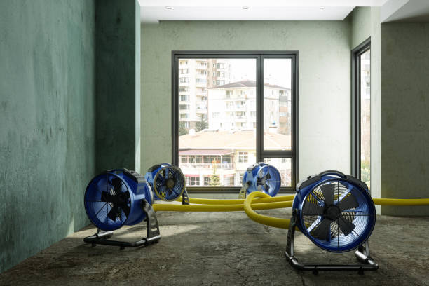 Best Basement water damage restoration  in Brightwaters, NY